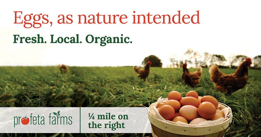 Eggs, as Nature Intended